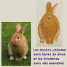 Exemple de broderie personnalisée animal lapin