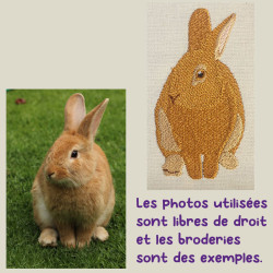 Broderie personnalisable animaux lapin